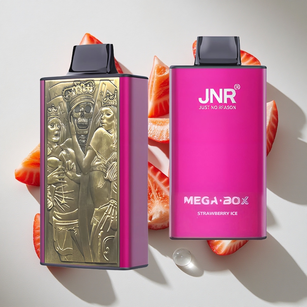 Aardbei IJs JNR Mega Box 25000 Puffs Nederland vapes met 30ml Vloeistof  Dual Mesh Coil