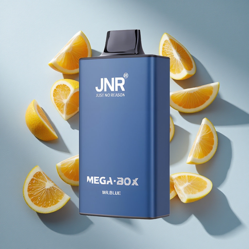 Blauw JNR Mega Box 25000 Puffs 30ml e-vloeistof Nederland vapes Dual Mesh Coil