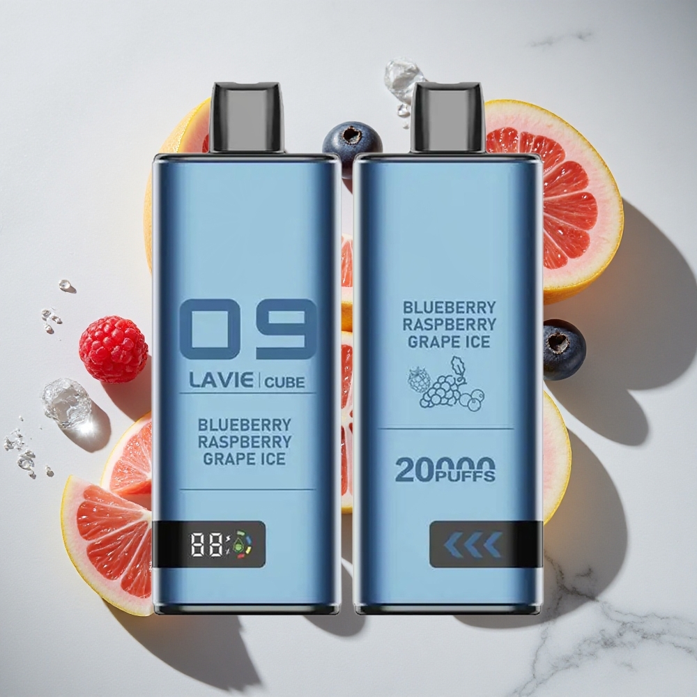 Blauwe Bes Framboos Druif IJs Lavie Cube 20000 Puffs Nederland vapes Type C Opladen