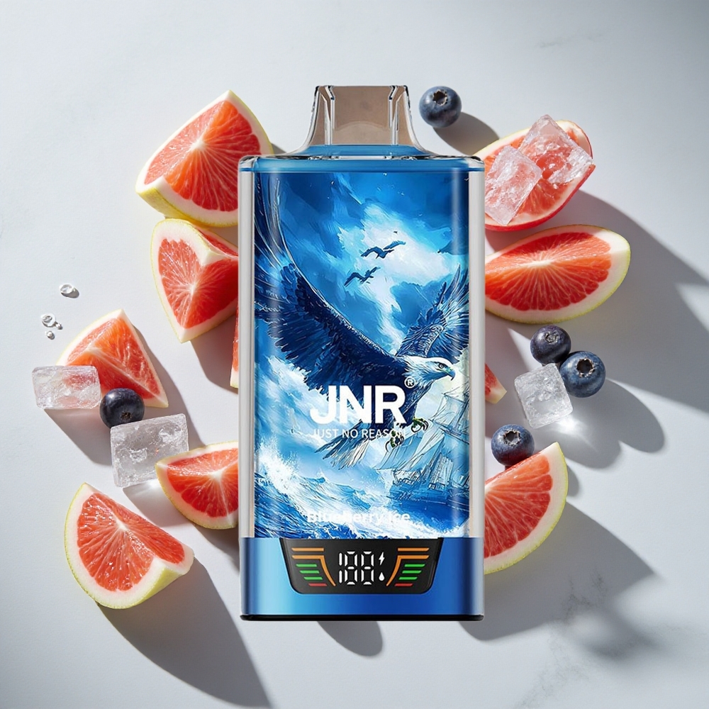 Blauwe Bes IJs JNR Falcon Pro 28000 Puffs Nederland vapes met 30ml Voorgevuld en Dual Mesh Coil