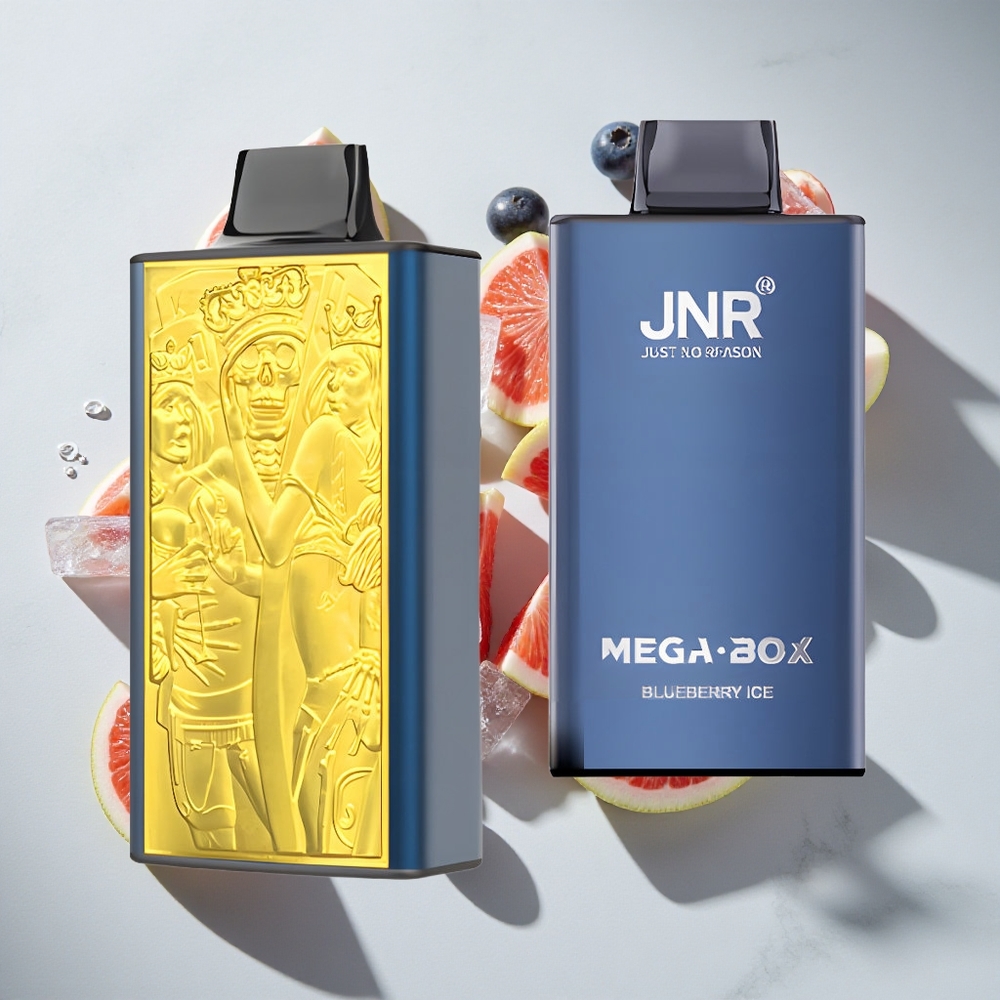 Blauwe Bes IJs JNR Mega Box 25000 Puffs Nederland vapes 30ml Dual Mesh