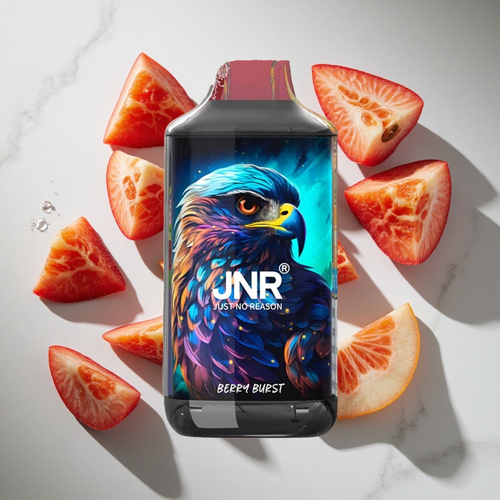 Bosbes Explosie JNR Falcon 16000 Puffs Nederland vapes met Dual Mesh Coil  Smart LED Display