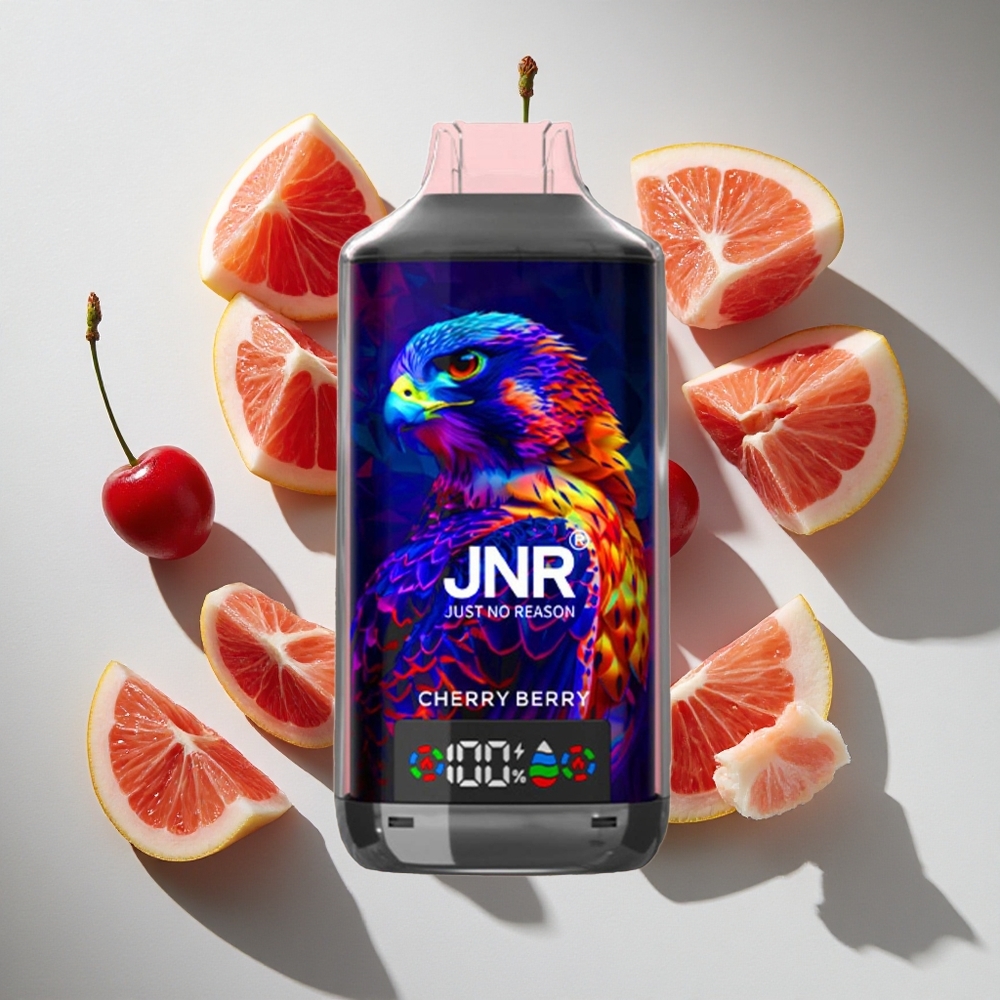 Kers Bes JNR Falcon X 18000 Puffs 24ml Nederland vapes Dual Mesh Coil