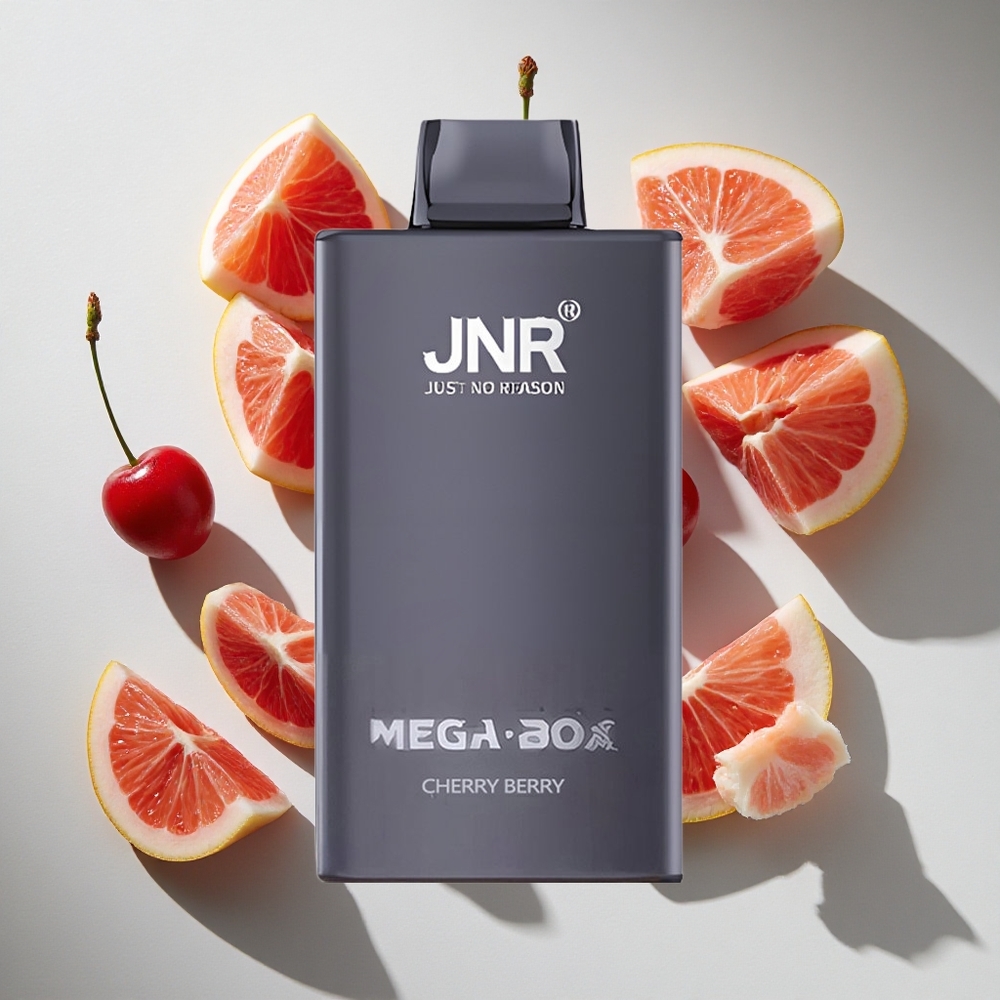 Kers Bes JNR Mega Box 25000 Puffs Nederland vapes Dual Mesh Coil  Type-C