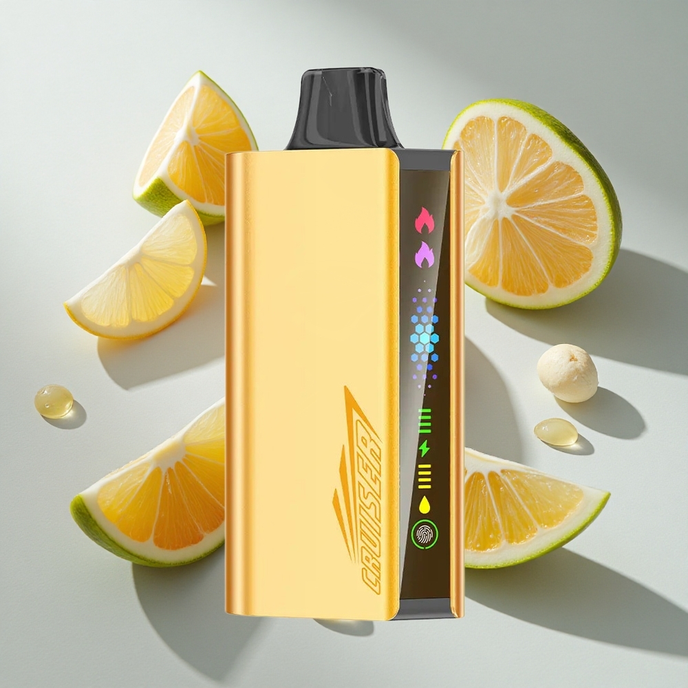 Koel Munt JNR Cruiser 12000 Puffs Nederland vapes Geen Opladen Wegwerp Vape 25ml e-vloeistof