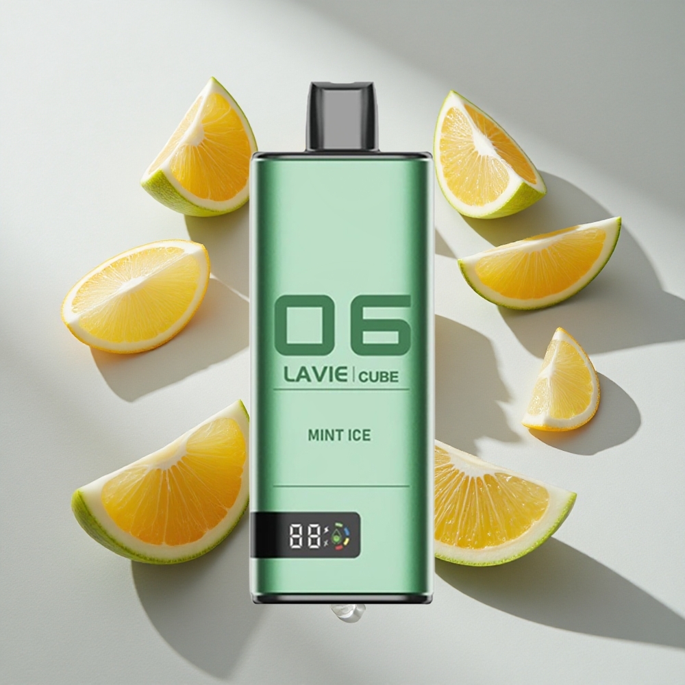 Munt IJs Lavie Cube Disposable 20000 Puffs Nederland vapes Type C Opladen