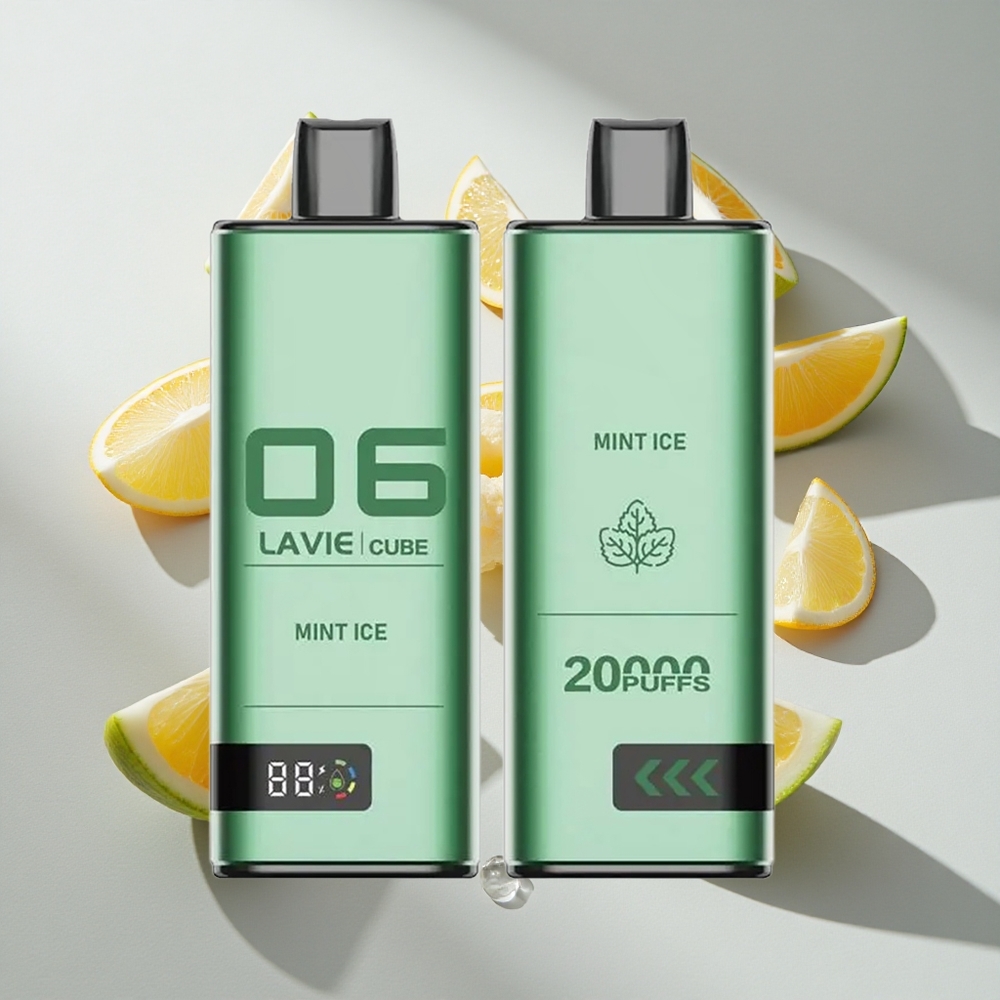 Munt IJs Lavie Cube Disposable 20000 Puffs Nederland vapes Type C Opladen