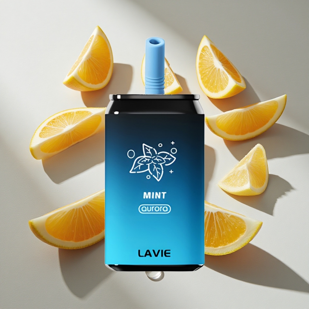 Munt Lavie Aurora 11000 Puffs Nederland vapes – 22ML Vloeistof  Type C Oplaadbaar