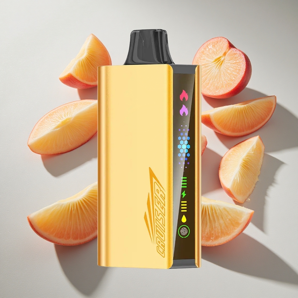 Perzijs IJs JNR Cruiser 12000 Puffs Nederland vapes Met 3500 mAh Accu en Full-Metal Body