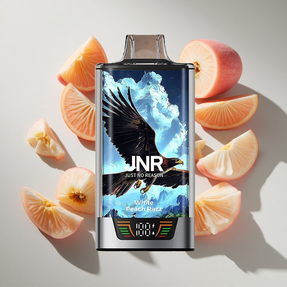 Witte Perzik Framboos JNR Falcon Pro 28000 puffs Nederland vapes met 30ml voorgevuld en USB Type-C